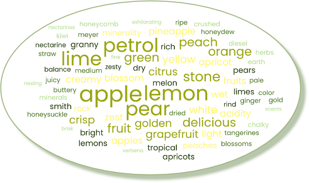 Word cloud of Riesling